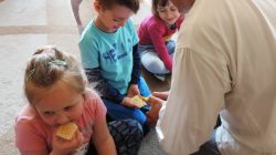 Smakowanie miodu z pasieki "Boża iskierka"