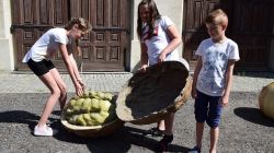 Muzeum Kinematografii