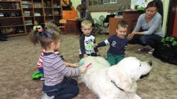 Niko w salonie piękności po raz drugi