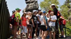 Formacje skalne w okolicach Szczelińca